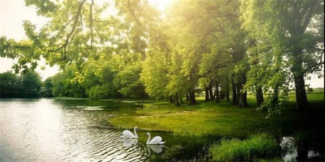 太阳城官网红瞰花园洋房